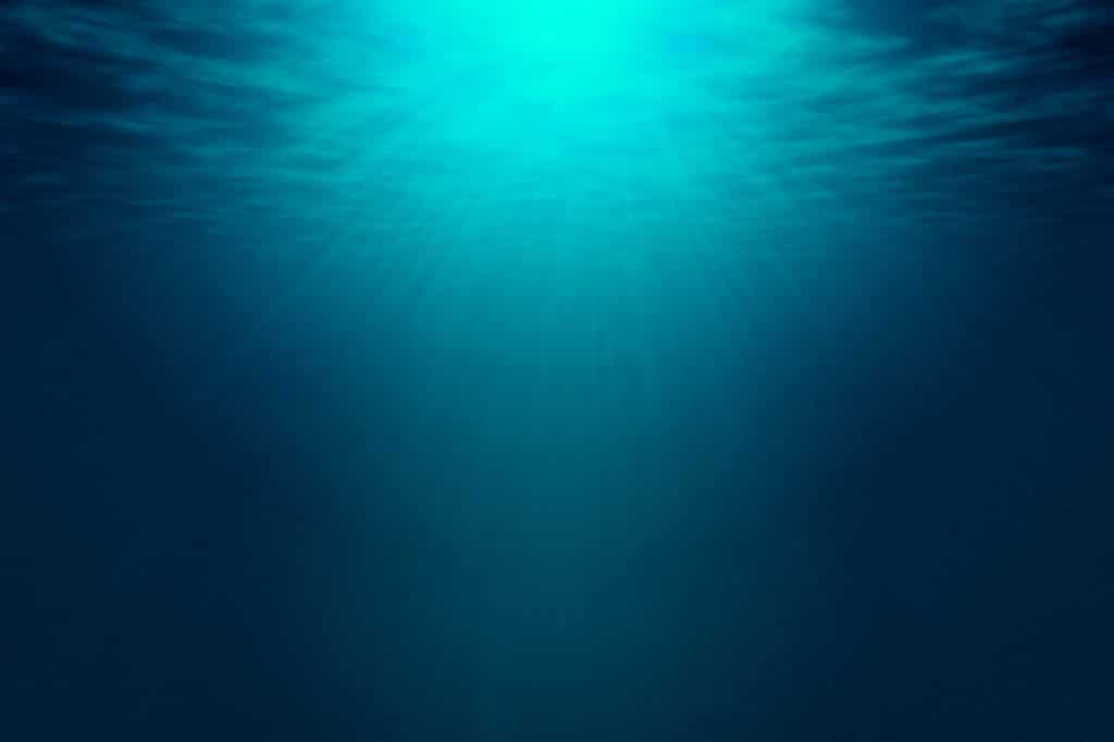 Webbutveckling.se - QS Pool - Hemsida i Wordpress