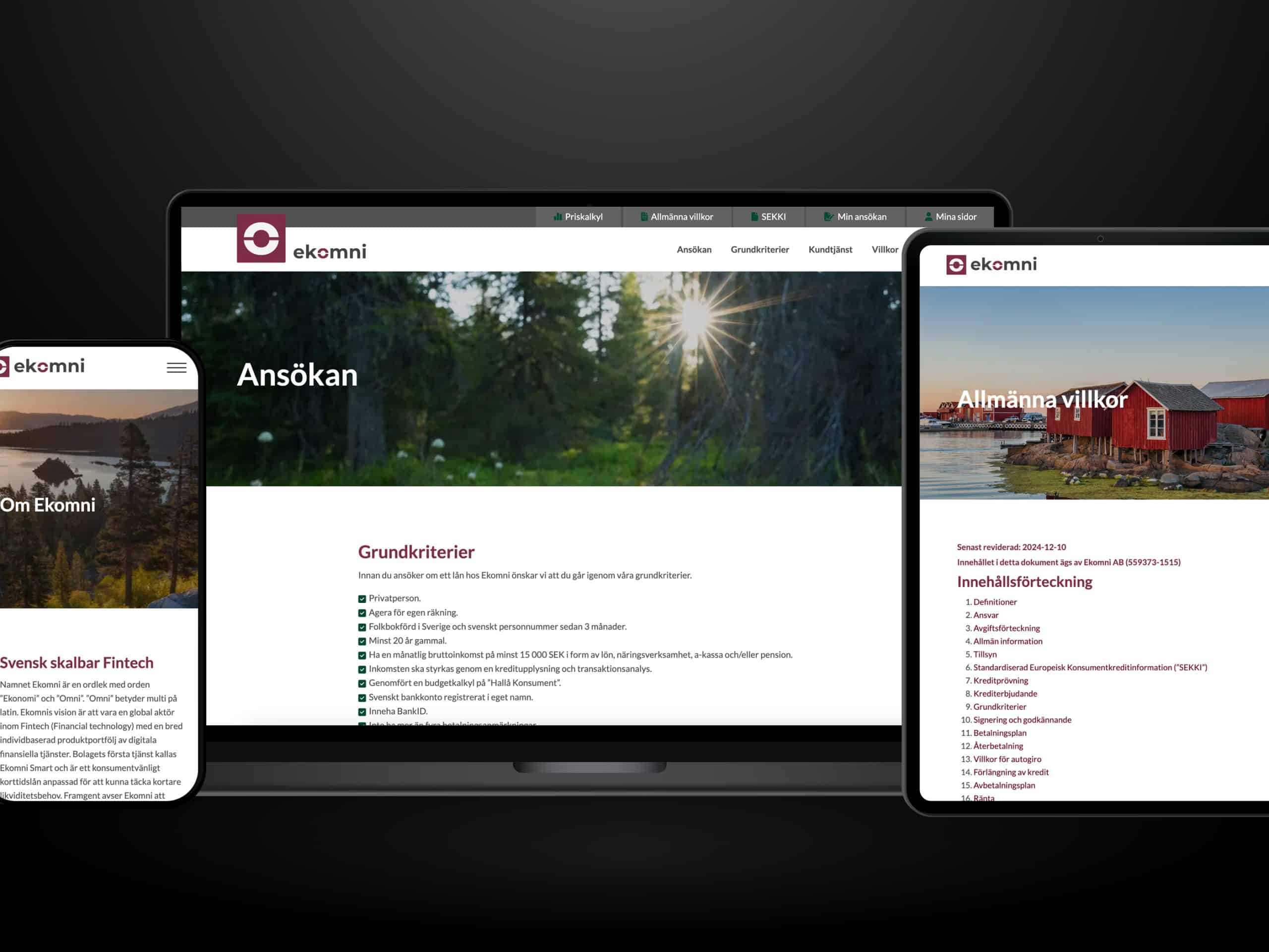 Webbutveckling.se - Ekomni - Hemsida i Wordpress till låg månadskostnad