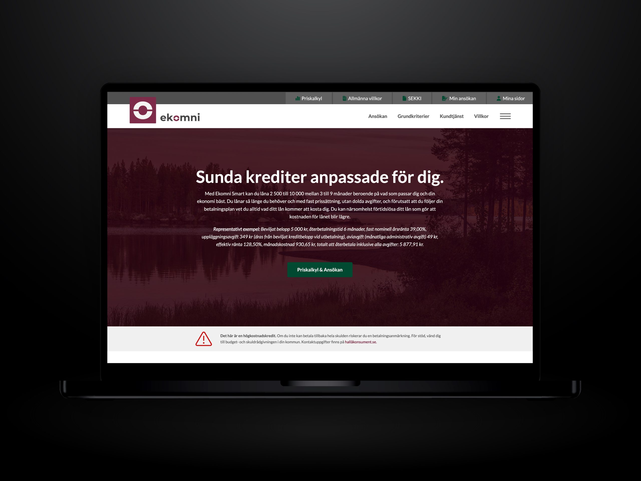 Webbutveckling.se - Ekomni - Hemsida i Wordpress till låg månadskostnad