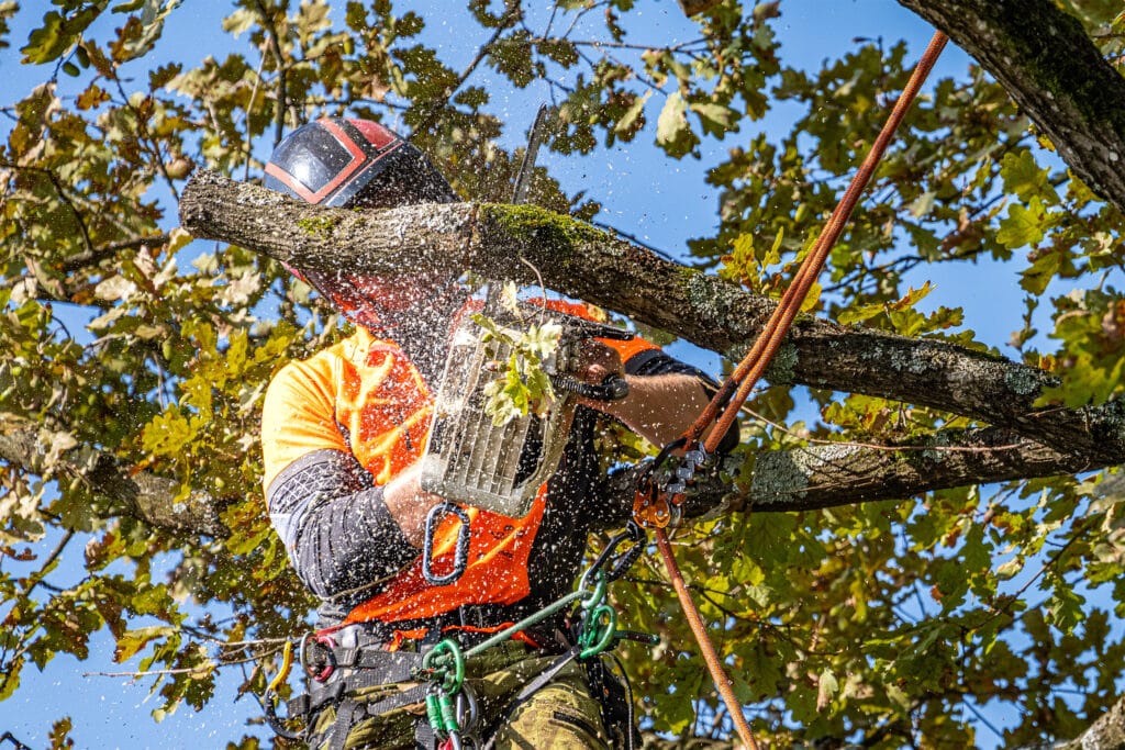 Webbutveckling.se - Dixon Trädvård - Hemsida i Wordpress - Arborist